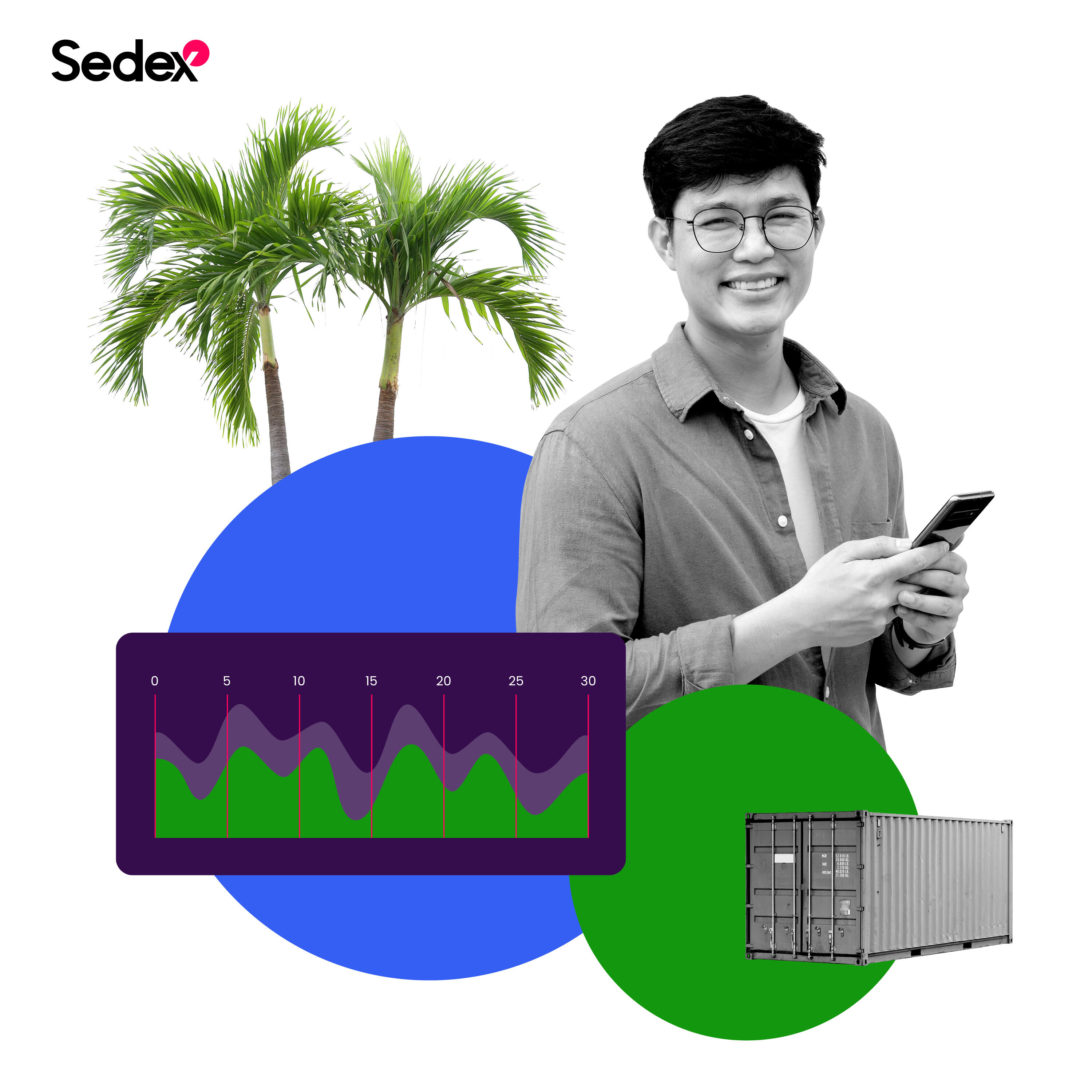 Sedex member logo of Real Locks & Security Co., Ltd., membership number ZC5000011480
